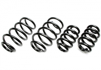 TA Technix Höherlegungsfedern passend für VW Transporter T5+T6 Bus/Kasten/Multivan 25/30mm