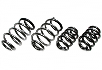 TA Technix Höherlegungsfedern passend für VW Transporter T6.1 Bus/Kasten/Multivan 25/30mm