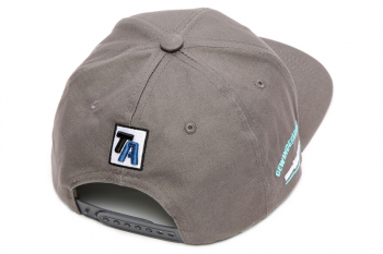 TA Technix Snapback grau