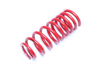 TA Technix coil spring rear axle from EVOGWAU02Q Audi A4 Quattro, -Avant Quattro, Type B5