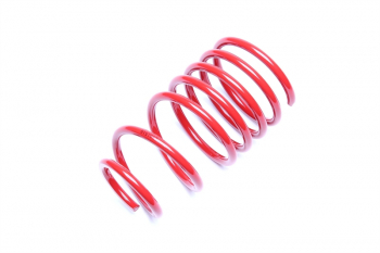 TA Technix coil spring rear axle from EVOGWOP08