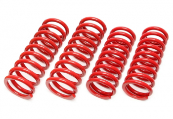 TA Technix springs suitable for Mercedes Benz 190 1.8-2.0l petrol engine+2.0l D type W201 45/45mm