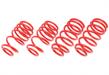 TA Technix springs suitable for Smart Roadster/Coupe 452 25/25mm