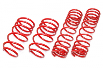 TA Technix springs suitable for VW Golf I /Jetta I / VW Scirocco I / II 40/40mm