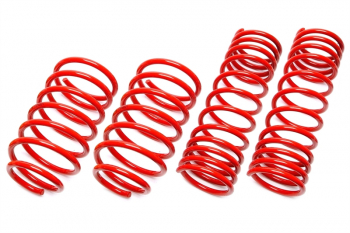 TA Technix springs suitable for VW Golf I / Jetta 1 80/60mm