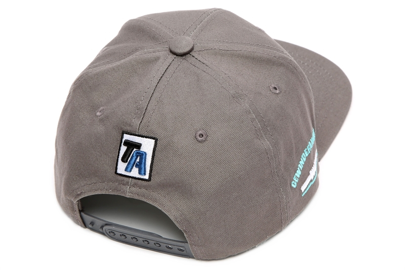 TA Technix Snapback grau